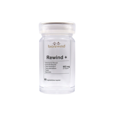 Rewind+ (Copy)