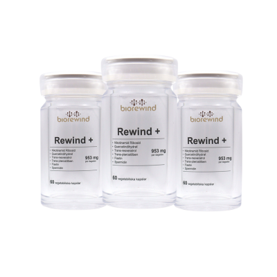 Rewind+ (Copy)