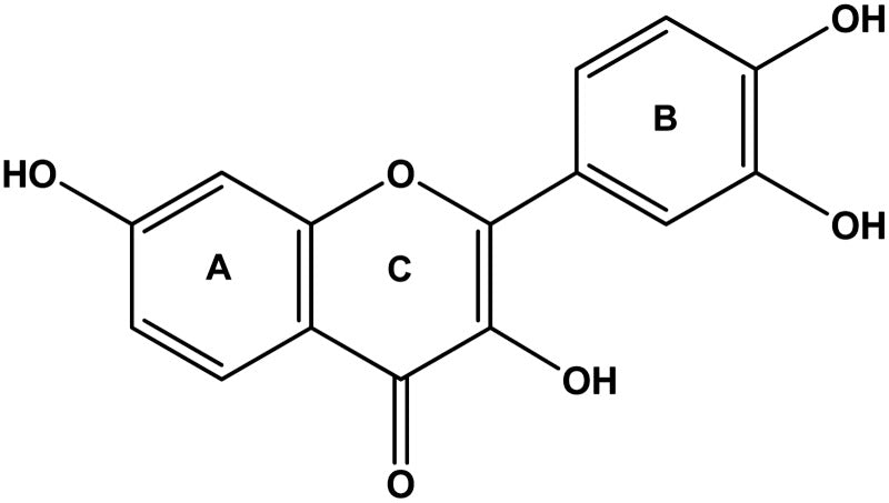 Fisetin - en antioxidant i kosten för främjande av vår hälsa