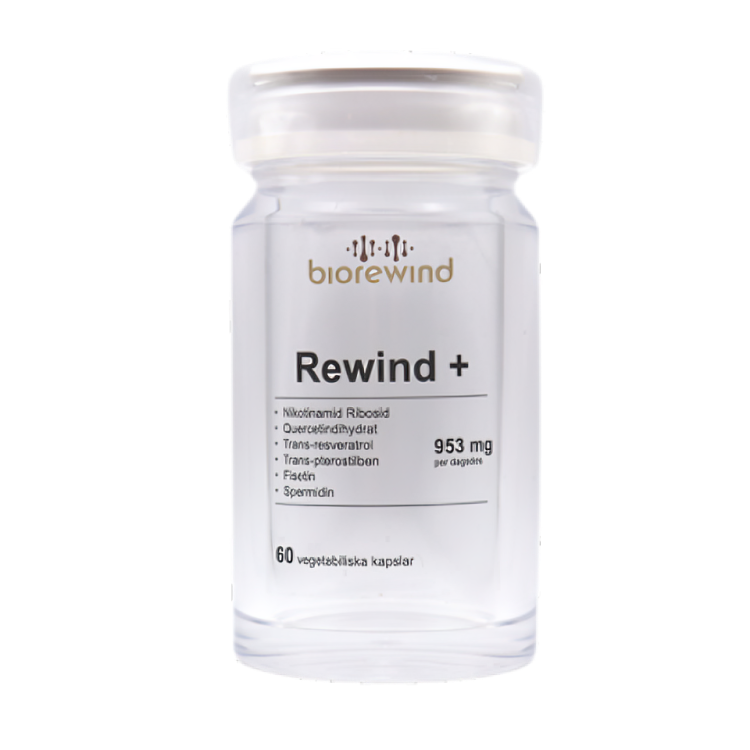 Rewind+