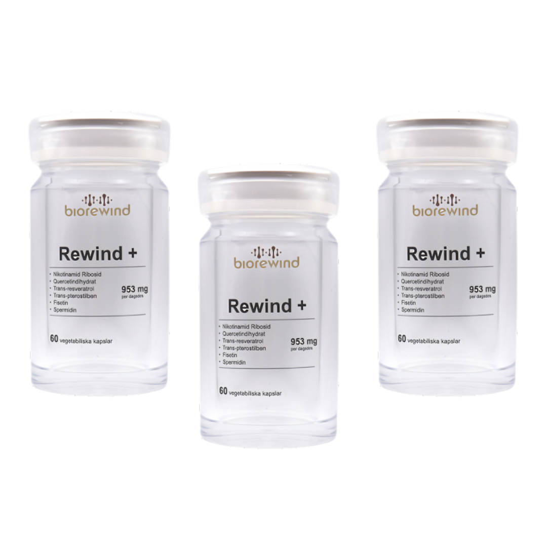 Rewind+